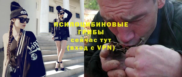 мдпв Карпинск