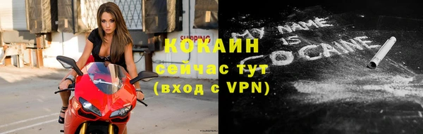 мдпв Карпинск