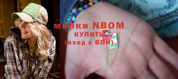 мдпв Карпинск