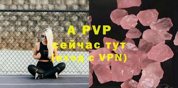 apvp Касимов