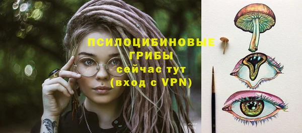 мдпв Карпинск