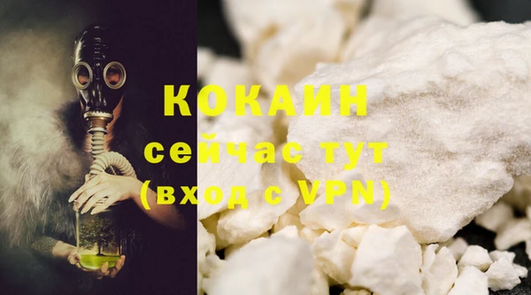 мдпв Карпинск